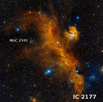 IC2177 dss