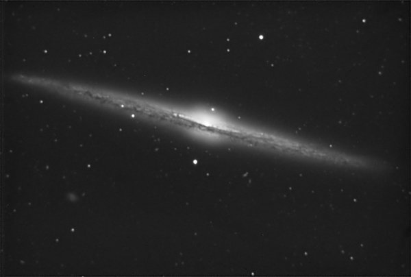 NGC 4565 фотограф Deane Rowe