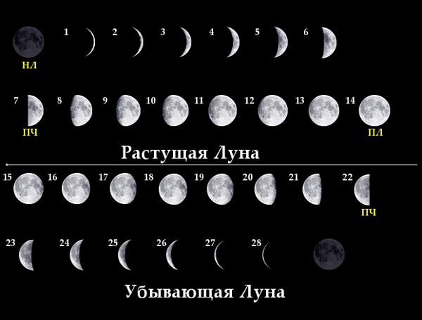 Фазы Луны