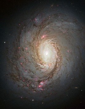 440px-Messier_77_spiral_galaxy_by_HST.jp
